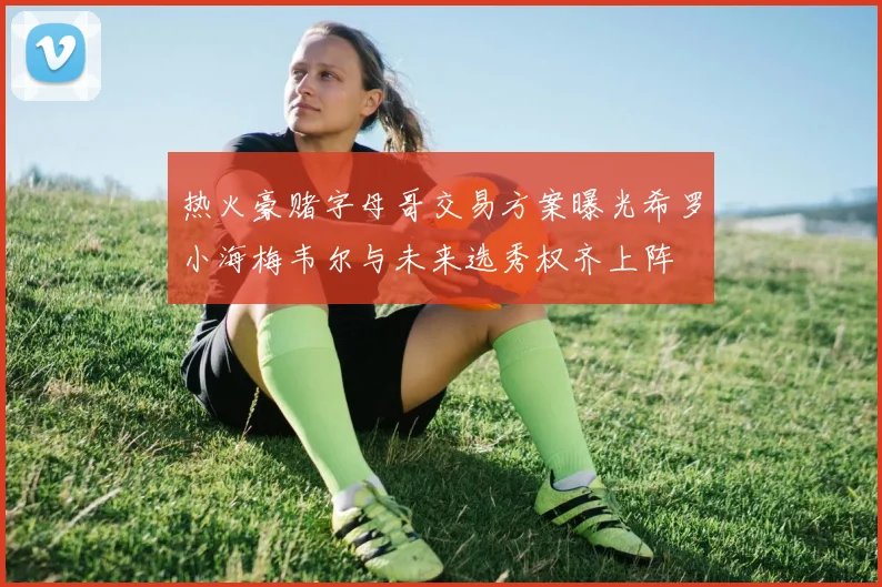 热火豪赌字母哥交易方案曝光希罗小海梅韦尔与未来选秀权齐上阵